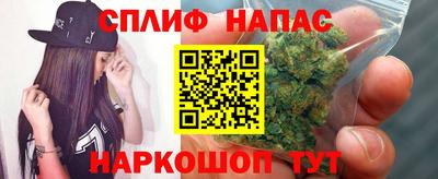 бошки Гай