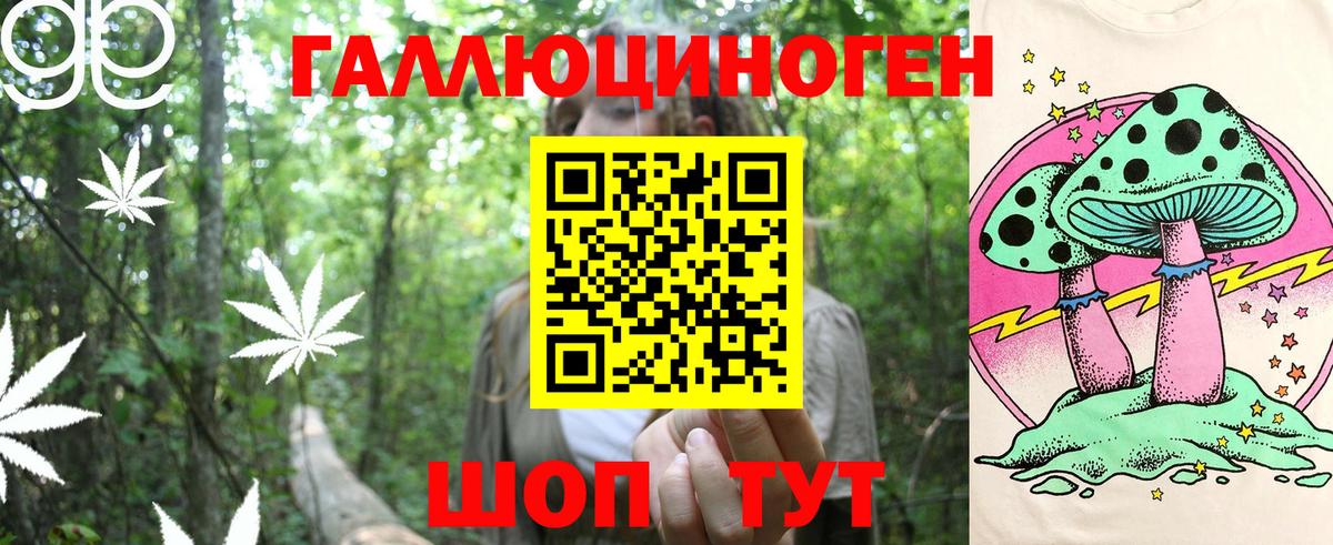 сколько стоит  Торжок  Псилоцибиновые грибы MAGIC MUSHROOMS 