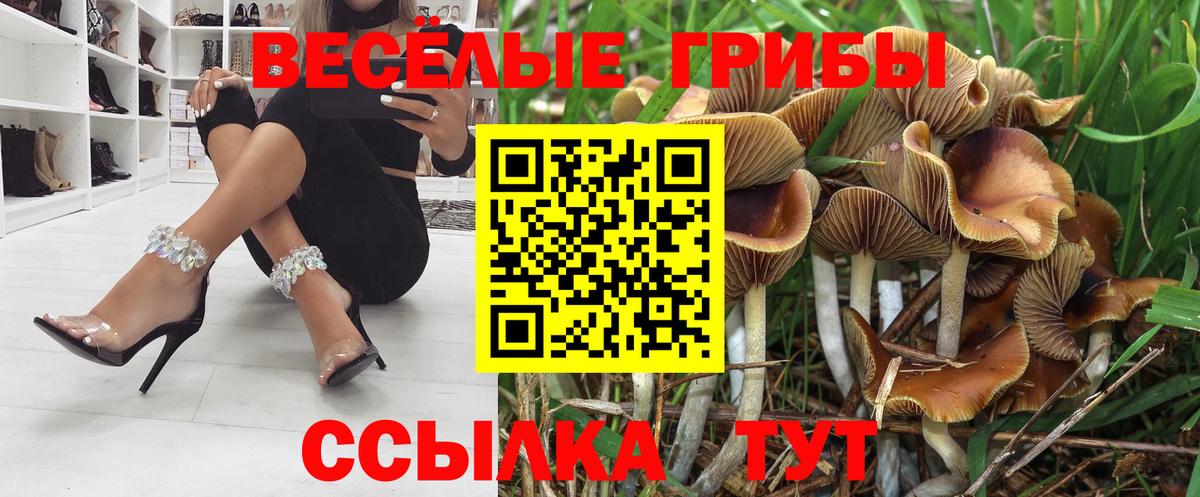 Галлюциногенные грибы GOLDEN TEACHER Торжок