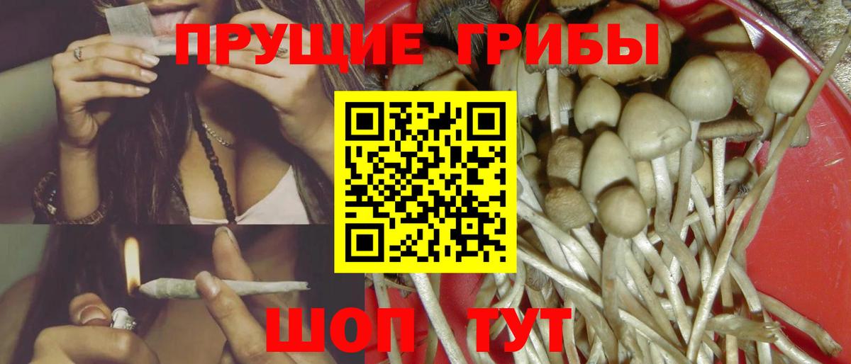 Торжок  Галлюциногенные грибы GOLDEN TEACHER  Вход с VPN 